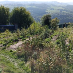 Appel de conseil d'1h
