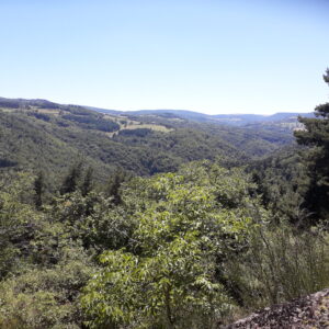 Cours audio (podcast) : Introduction longue sur les bases du Jardin-Forêt en permaculture